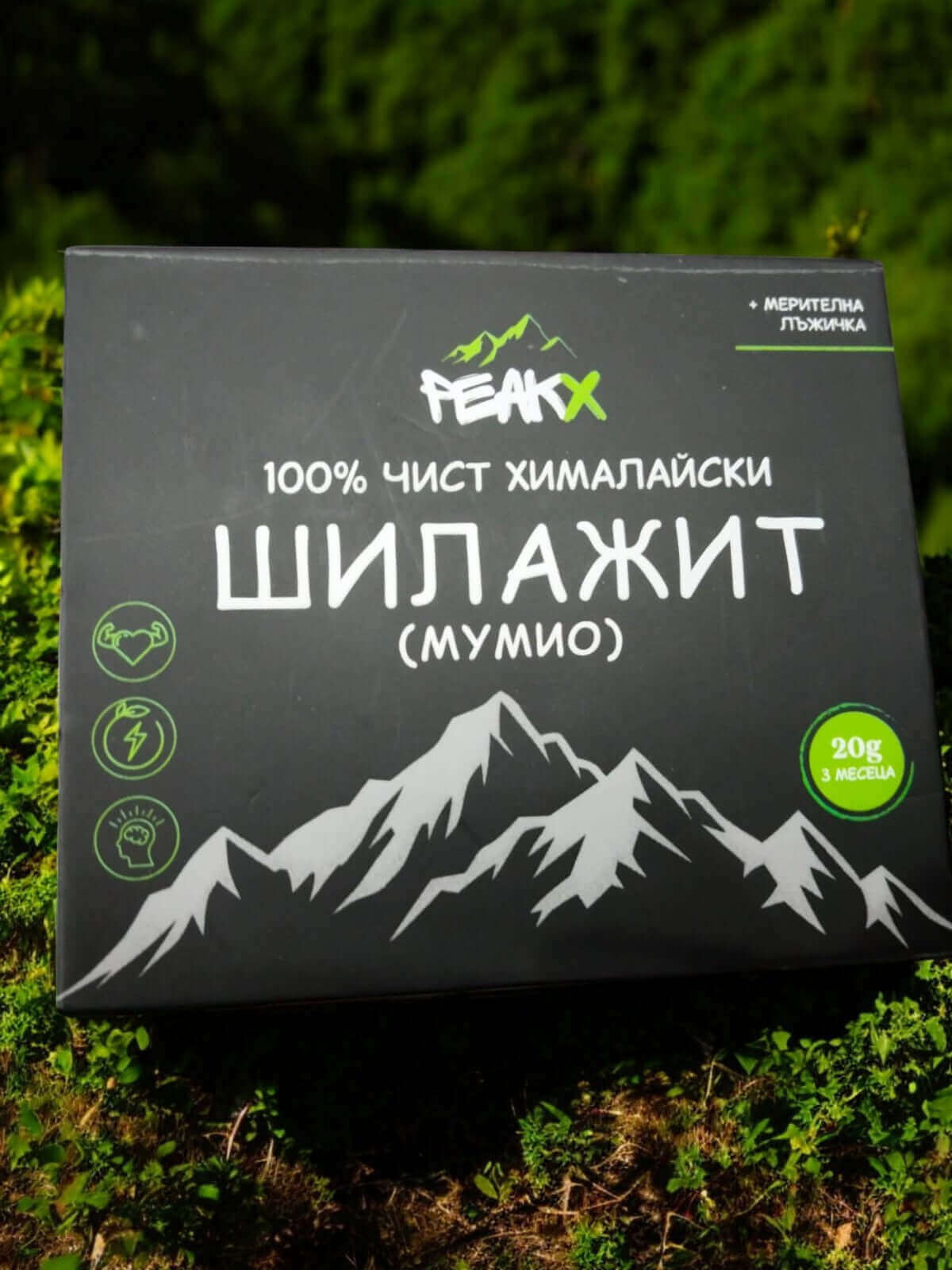 мумио-шилажит-цена