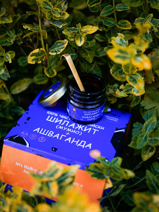 шиладжит с ашваганда