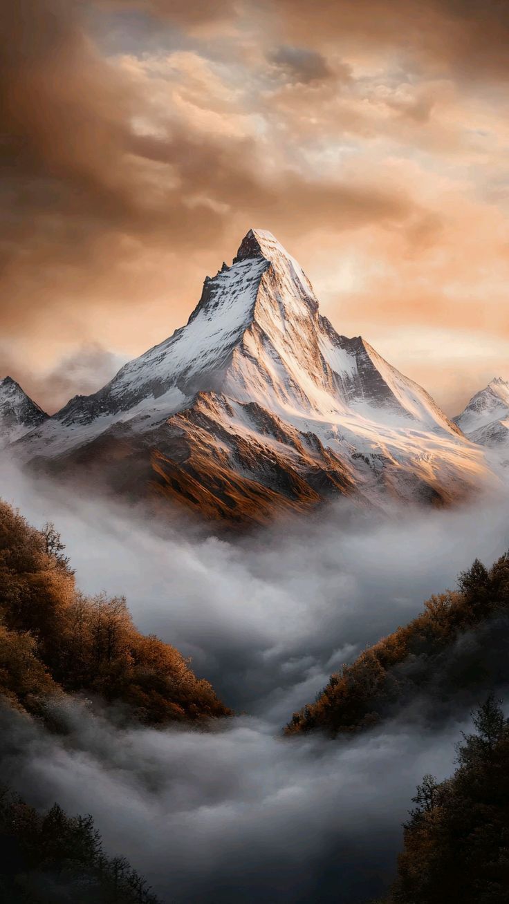 шиладжит от хималайте