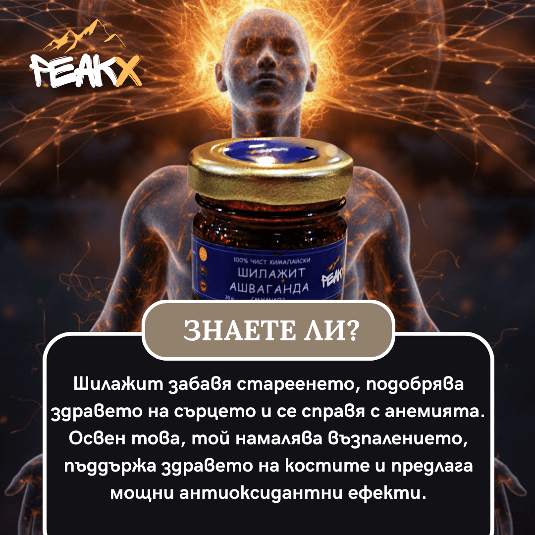 шиладжит с ашваганда знаете ли че