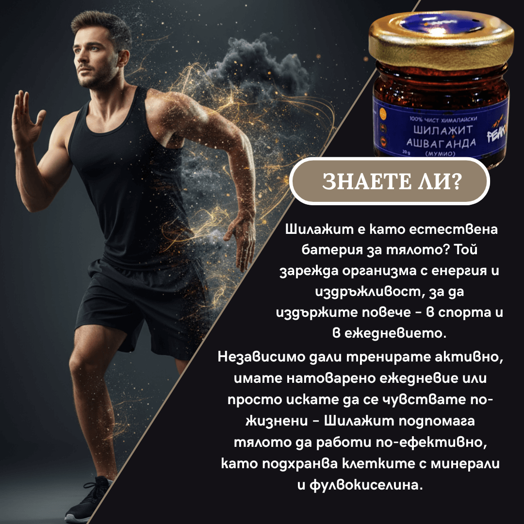 факти за шилажит с ашваганда