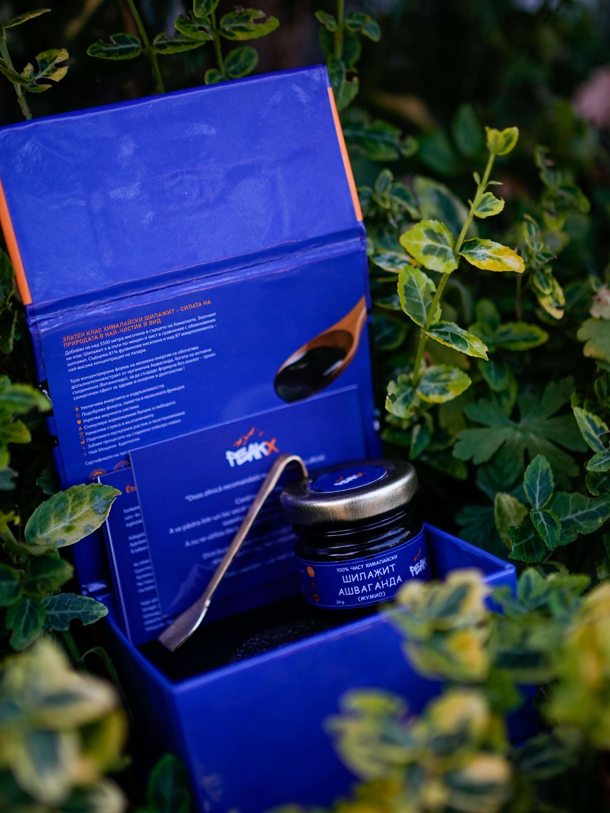 шиладжит с ашваганда ползи и цени