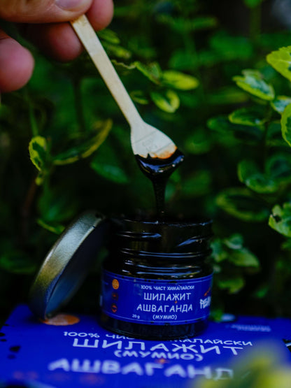 ашваганда и шиладжит-шилажит